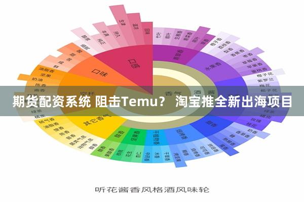 期货配资系统 阻击Temu？ 淘宝推全新出海项目