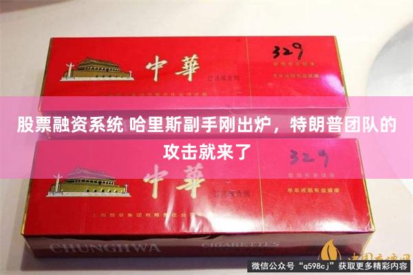 股票融资系统 哈里斯副手刚出炉，特朗普团队的攻击就来了