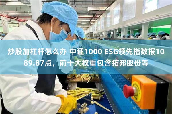 炒股加杠杆怎么办 中证1000 ESG领先指数报1089.87点，前十大权重包含拓邦股份等