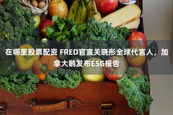 在哪里股票配资 FRED官宣关晓彤全球代言人，加拿大鹅发布ESG报告