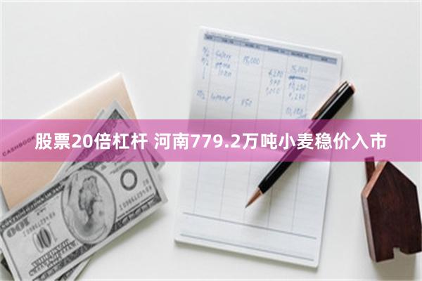 股票20倍杠杆 河南779.2万吨小麦稳价入市