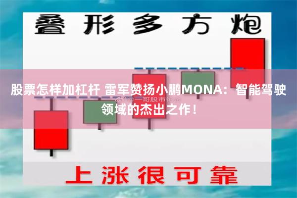 股票怎样加杠杆 雷军赞扬小鹏MONA：智能驾驶领域的杰出之作！