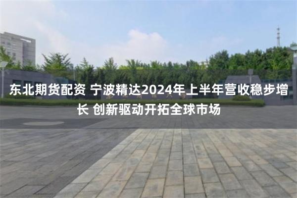 东北期货配资 宁波精达2024年上半年营收稳步增长 创新驱动开拓全球市场