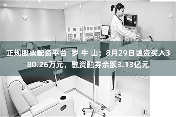 正规股票配资平台  罗 牛 山：8月29日融资买入380.26万元，融资融券余额3.13亿元