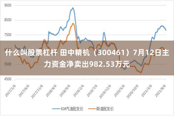 什么叫股票杠杆 田中精机（300461）7月12日主力资金净卖出982.53万元