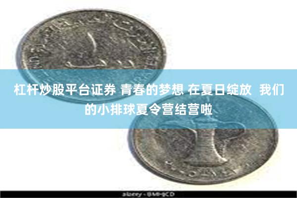 杠杆炒股平台证券 青春的梦想 在夏日绽放  我们的小排球夏令营结营啦