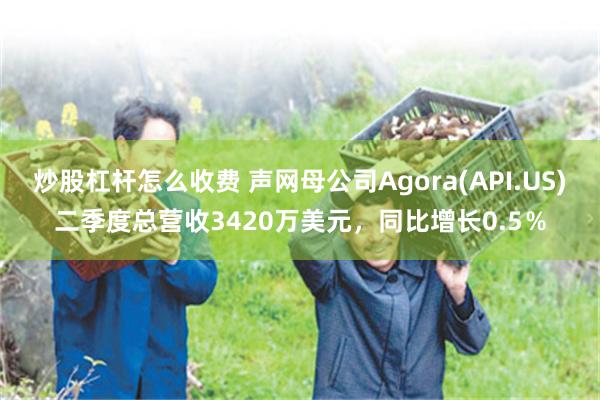 炒股杠杆怎么收费 声网母公司Agora(API.US)二季度总营收3420万美元，同比增长0.5％