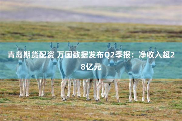 青岛期货配资 万国数据发布Q2季报：净收入超28亿元