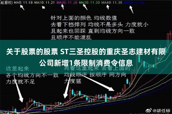 关于股票的股票 ST三圣控股的重庆圣志建材有限公司新增1条限制消费令信息