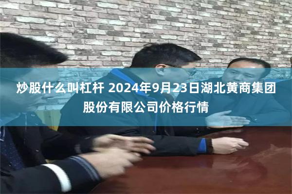 炒股什么叫杠杆 2024年9月23日湖北黄商集团股份有限公司价格行情