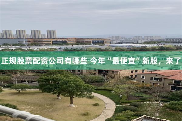 正规股票配资公司有哪些 今年“最便宜”新股，来了