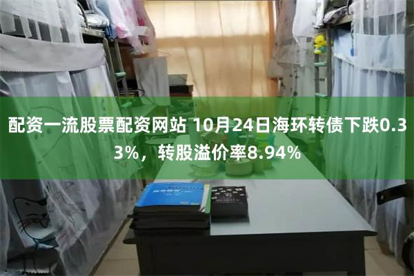 配资一流股票配资网站 10月24日海环转债下跌0.33%，转股溢价率8.94%