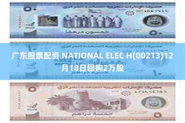 广东股票配资 NATIONAL ELEC H(00213)12月18日回购2万股