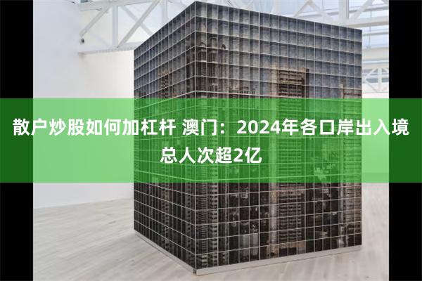 散户炒股如何加杠杆 澳门：2024年各口岸出入境总人次超2亿