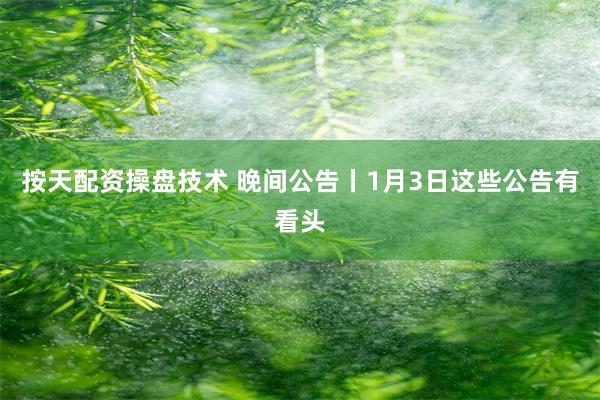 按天配资操盘技术 晚间公告丨1月3日这些公告有看头