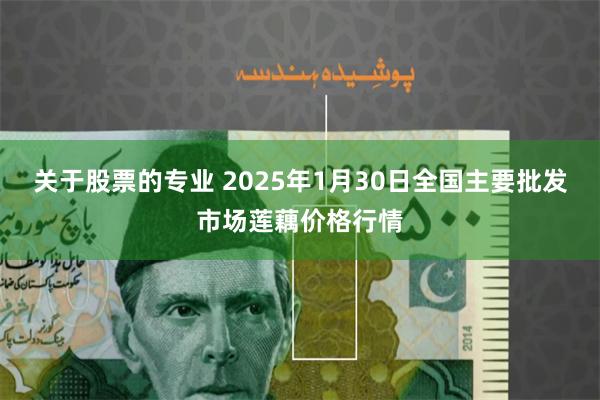 关于股票的专业 2025年1月30日全国主要批发市场莲藕价格行情