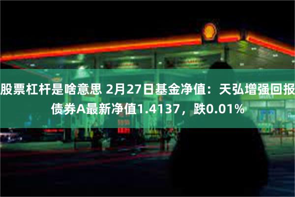 股票杠杆是啥意思 2月27日基金净值：天弘增强回报债券A最新净值1.4137，跌0.01%