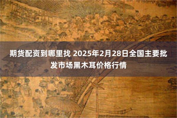 期货配资到哪里找 2025年2月28日全国主要批发市场黑木耳价格行情