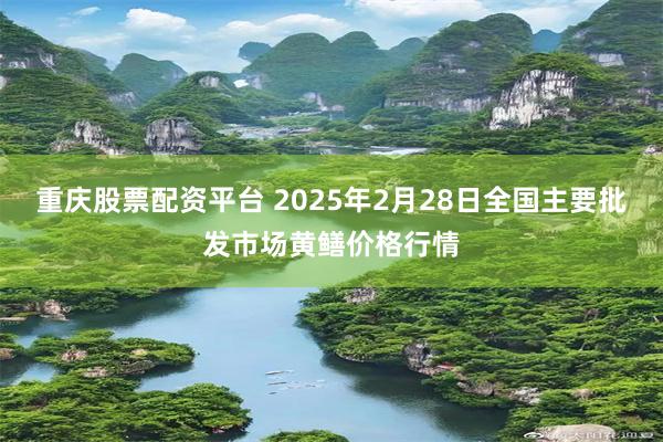 重庆股票配资平台 2025年2月28日全国主要批发市场黄鳝价格行情