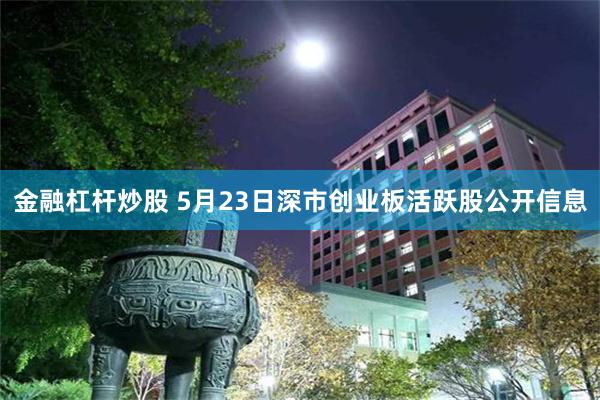 金融杠杆炒股 5月23日深市创业板活跃股公开信息